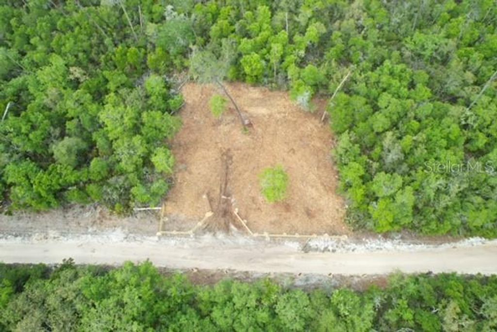 Image 11 of property listing at 21575 SE 145TH PLACE, Umatilla, FL 32784