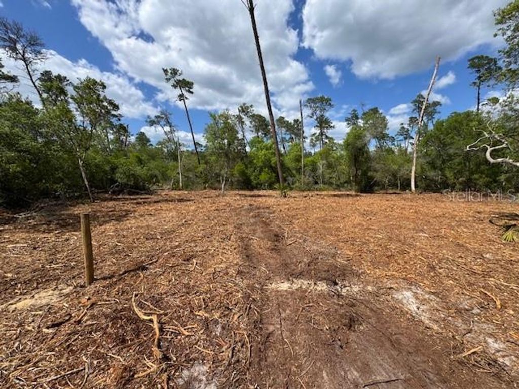 Image 4 of property listing at 21575 SE 145TH PLACE, Umatilla, FL 32784