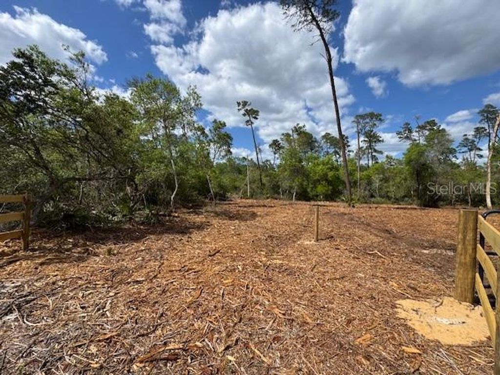 Image 6 of property listing at 21575 SE 145TH PLACE, Umatilla, FL 32784