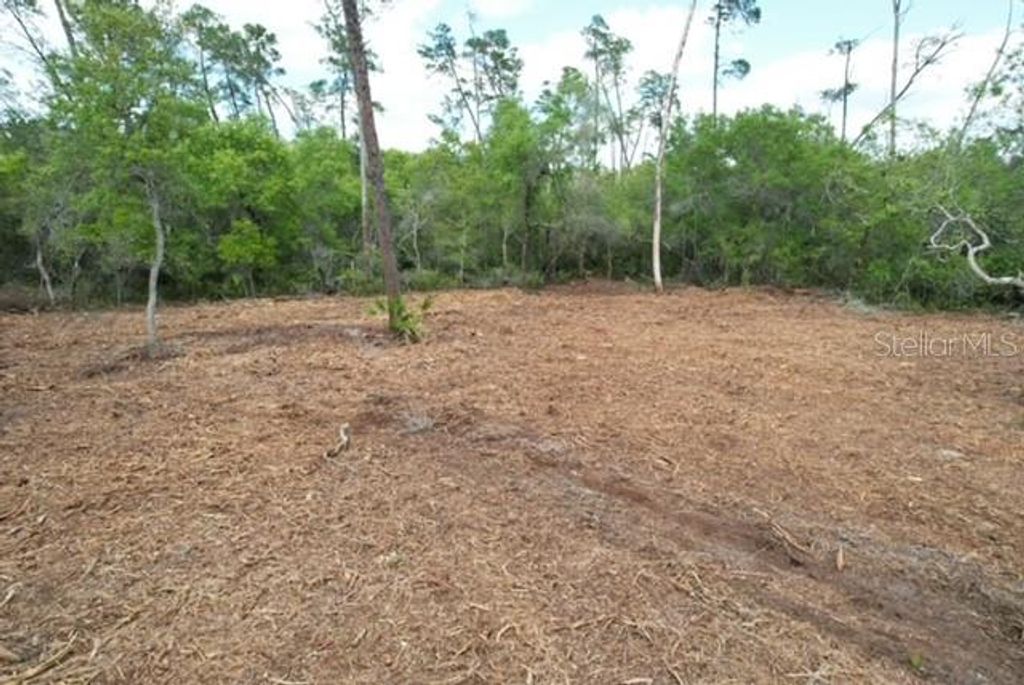 Image 8 of property listing at 21575 SE 145TH PLACE, Umatilla, FL 32784