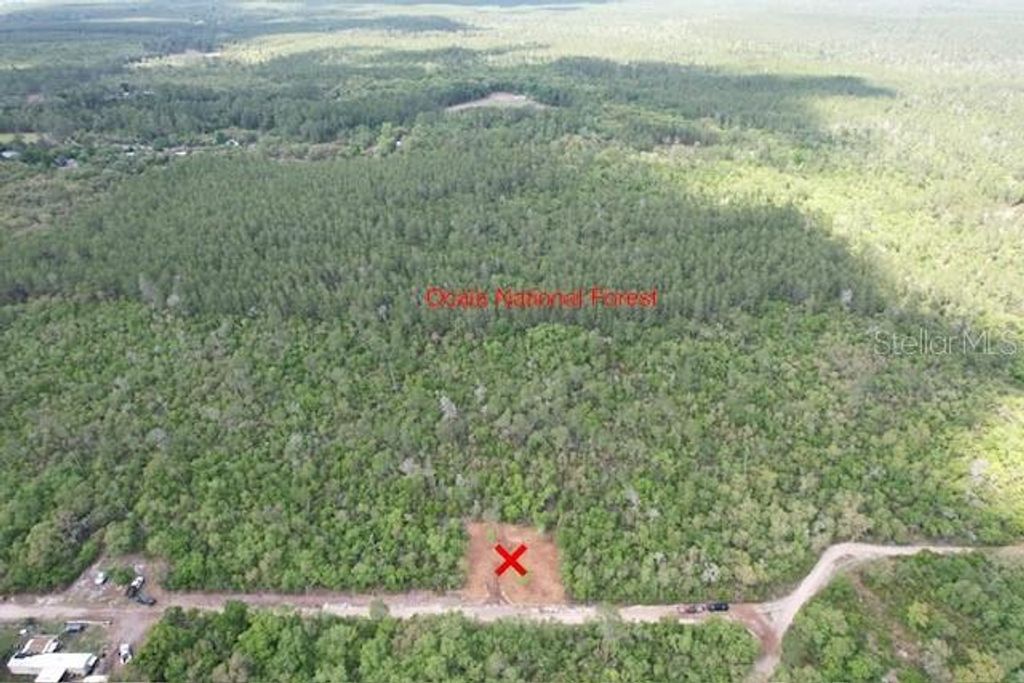 Image 9 of property listing at 21575 SE 145TH PLACE, Umatilla, FL 32784