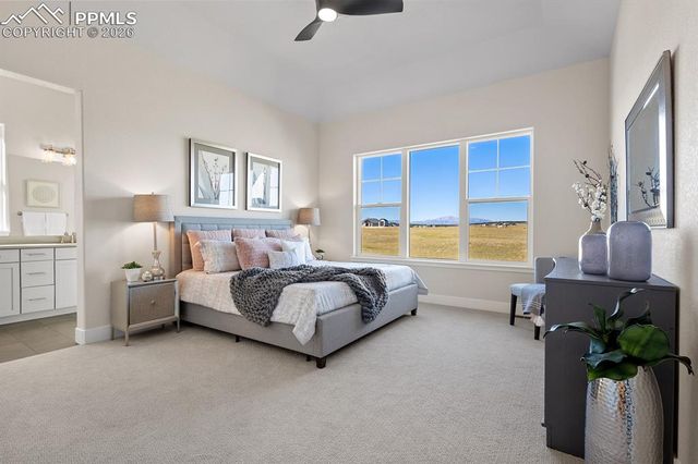 17154 Twinkling Star Lane, Colorado Springs, CO 80908