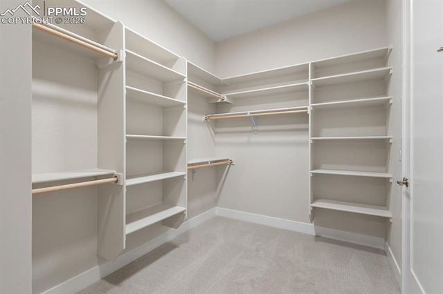 17154 Twinkling Star Lane, Colorado Springs, CO 80908