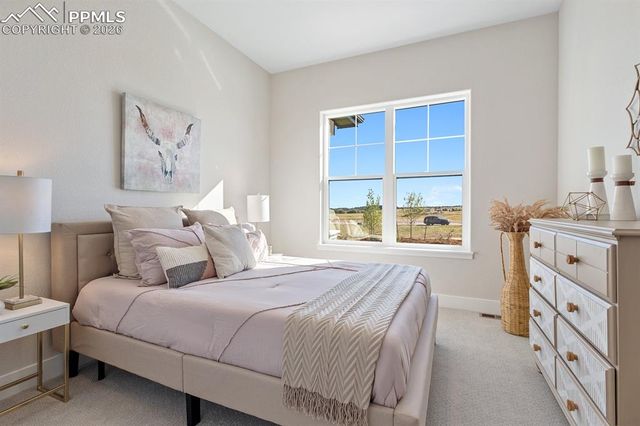 17154 Twinkling Star Lane, Colorado Springs, CO 80908