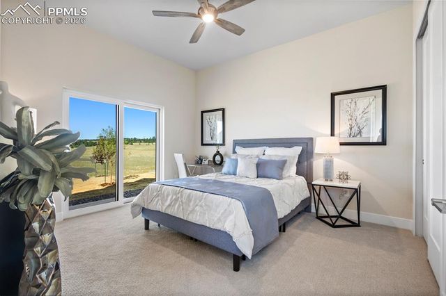 17154 Twinkling Star Lane, Colorado Springs, CO 80908