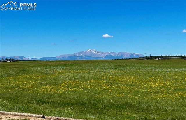 17154 Twinkling Star Lane, Colorado Springs, CO 80908