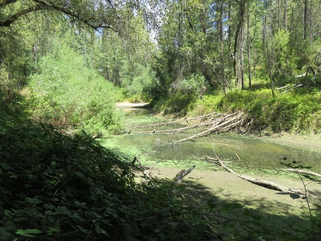 2563 Woodhouse Mine Rd, West Point, CA 95255