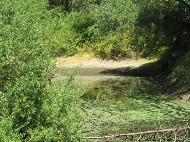 2563 Woodhouse Mine Rd, West Point, CA 95255