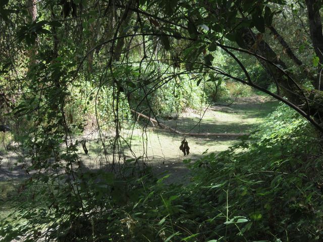 2563 Woodhouse Mine Rd, West Point, CA 95255