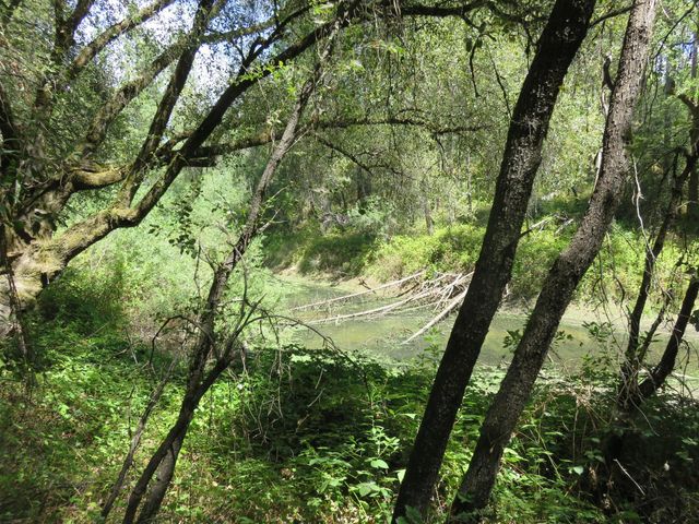 2563 Woodhouse Mine Rd, West Point, CA 95255