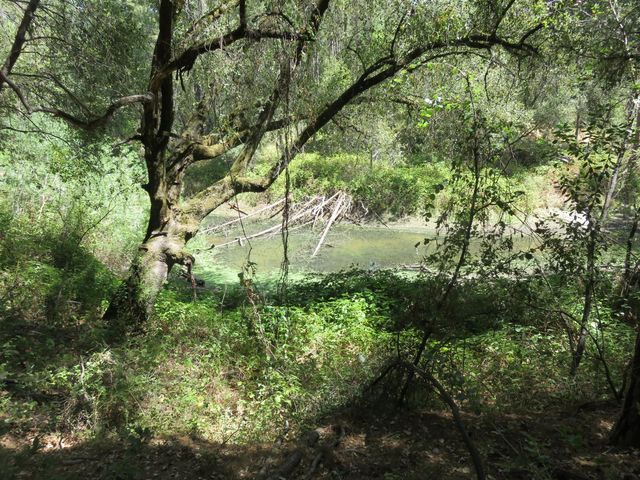 2563 Woodhouse Mine Rd, West Point, CA 95255