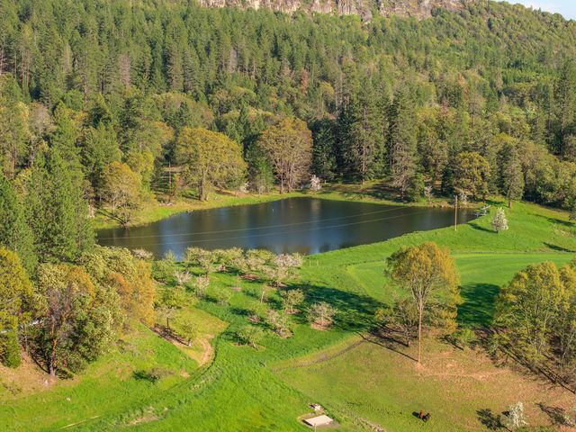 12310 Ramsey Road, Gold Hill, OR 97525