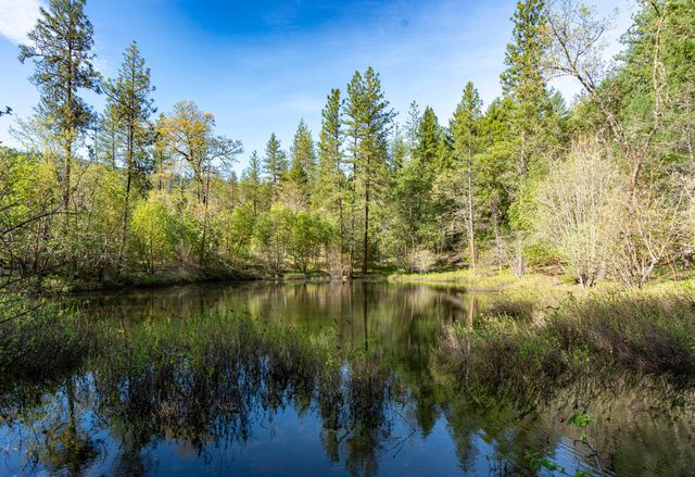 12310 Ramsey Road, Gold Hill, OR 97525