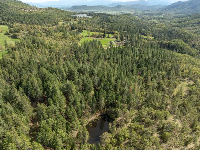 12310 Ramsey Road, Gold Hill, OR 97525