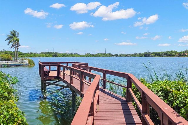 695 SALT LAKE DRIVE, Tarpon Springs, FL 34689