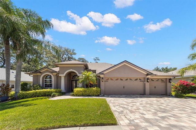 695 SALT LAKE DRIVE, Tarpon Springs, FL 34689