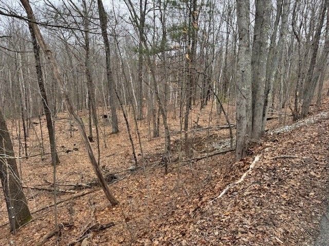 Lot 2 Gould Road, Charlton, MA 01507