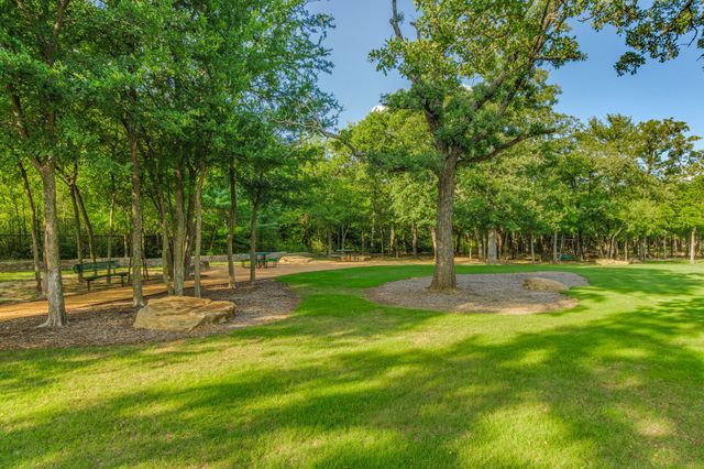 328 Ellison Trace, Argyle, TX 76226