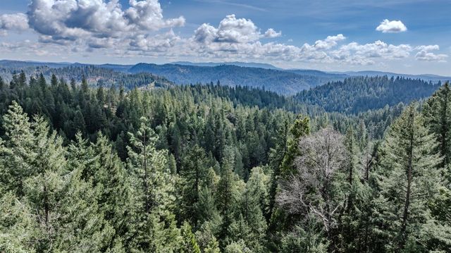 18720 Circle View Dr, Pioneer, CA 95666