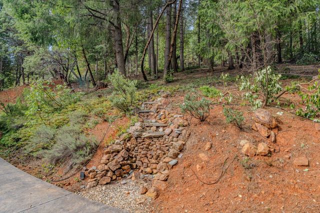 18720 Circle View Dr, Pioneer, CA 95666