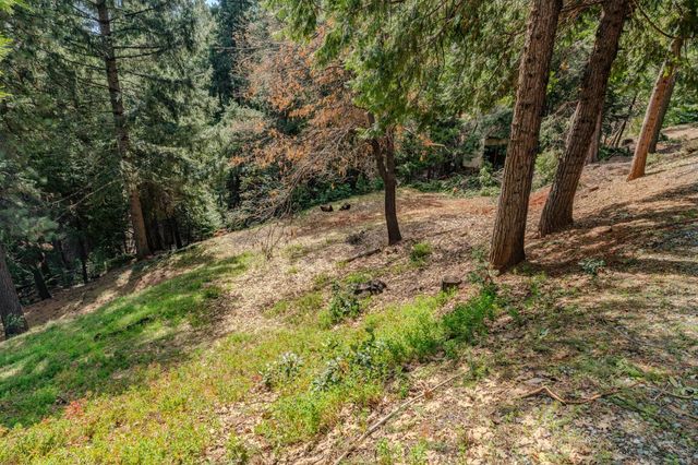 18720 Circle View Dr, Pioneer, CA 95666