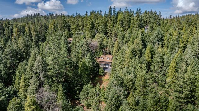 18720 Circle View Dr, Pioneer, CA 95666