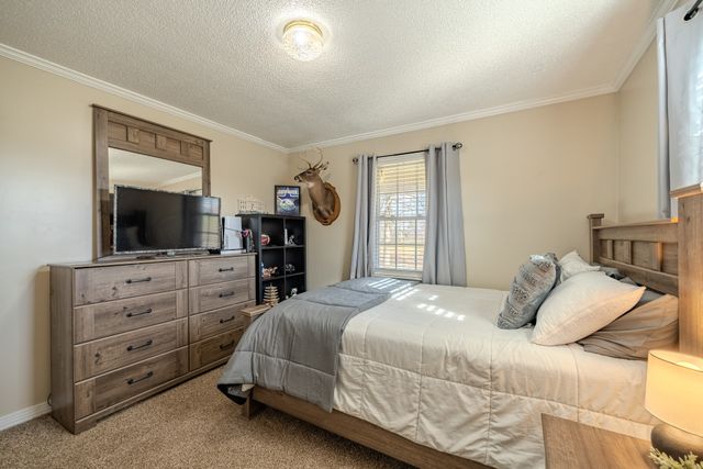 2098 Spain Rd, Cypress Inn, TN 38452