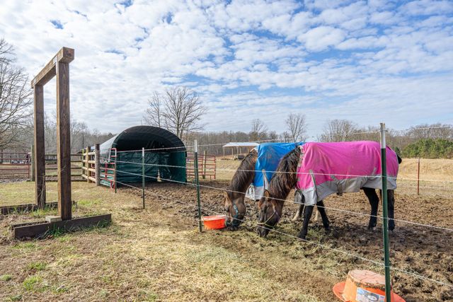 2098 Spain Rd, Cypress Inn, TN 38452