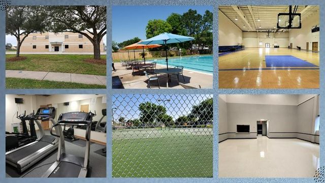 16723 Lone Quail Court, Missouri City, TX 77489