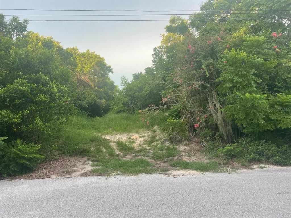 0 ORTEGA, Spring Hill, FL 34609