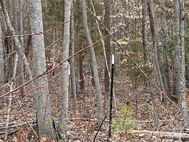1217 Freeman Road, Bostic, NC 28018