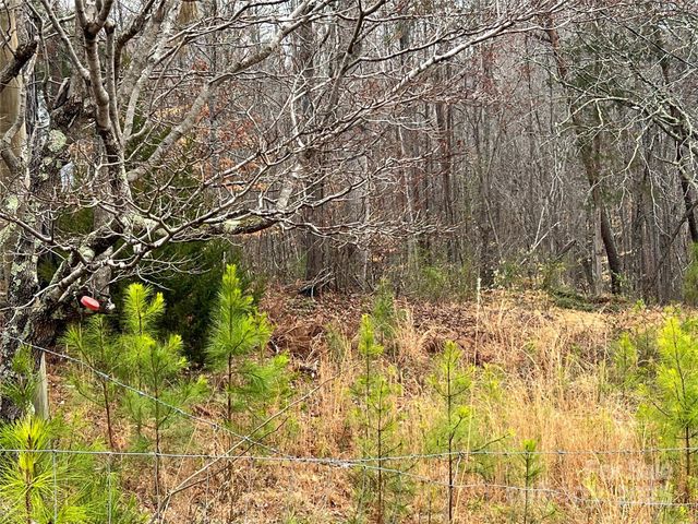 1217 Freeman Road, Bostic, NC 28018