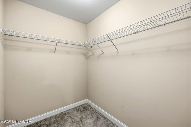 17107 Creek Vista Ct, Louisville, KY 40245