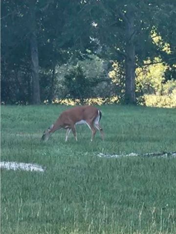 777 SW Wacissa Terrace, Greenville, FL 32331