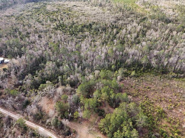 777 SW Wacissa Terrace, Greenville, FL 32331