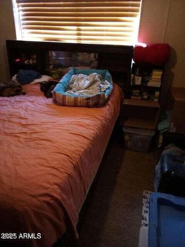 5803 DARK CANYON Drive, Winslow, AZ 86047