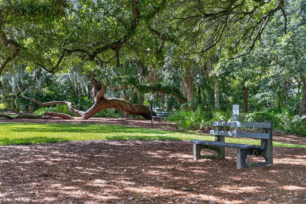 Image 47 of property listing at 1242 E RIDGEWOOD STREET, Orlando, FL 32803
