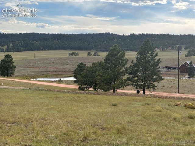 406 High Pasture Road, Florissant, CO 80816