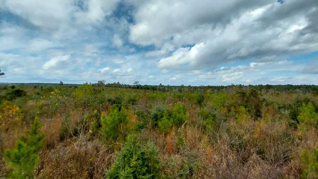 000 Pr 6150, Woodville, TX 75979