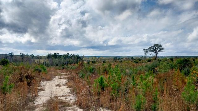 000 Pr 6150, Woodville, TX 75979