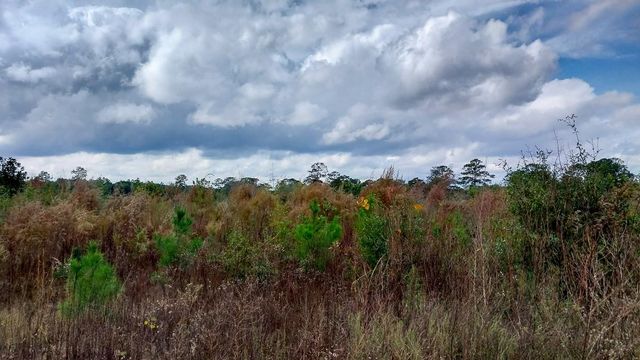 000 Pr 6150, Woodville, TX 75979