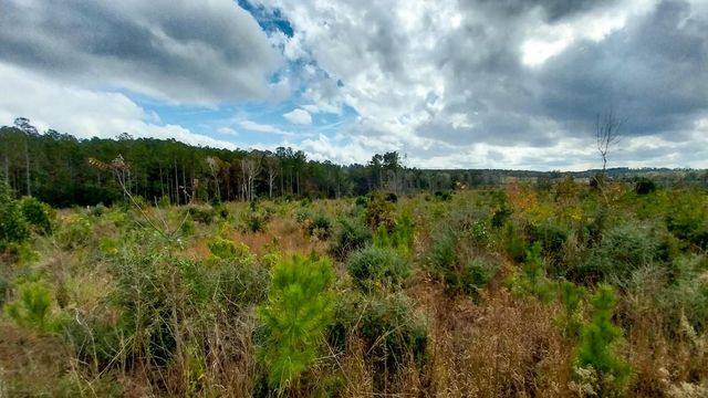 000 Pr 6150, Woodville, TX 75979