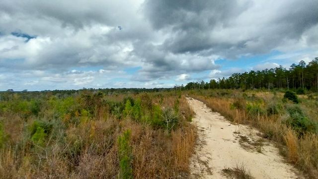 000 Pr 6150, Woodville, TX 75979