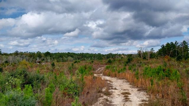 000 Pr 6150, Woodville, TX 75979