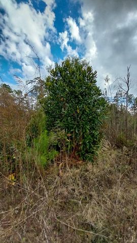 000 Pr 6150, Woodville, TX 75979