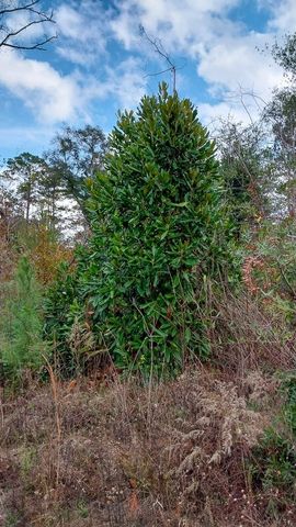 000 Pr 6150, Woodville, TX 75979