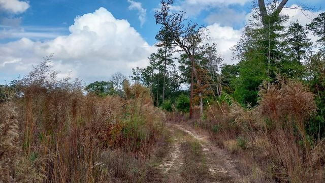 000 Pr 6150, Woodville, TX 75979