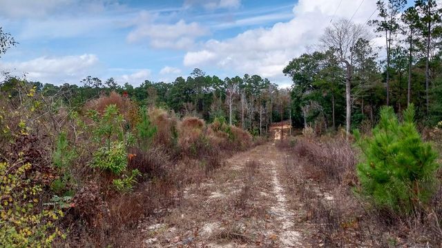 000 Pr 6150, Woodville, TX 75979