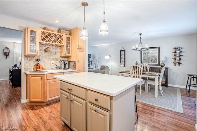 20566 Village Green Drive, Strongsville, OH 44149