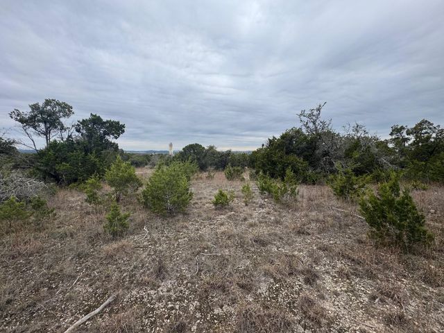 31822 Mirela Anne RD Lot 4F & 4E, Dripping Springs, TX 78620